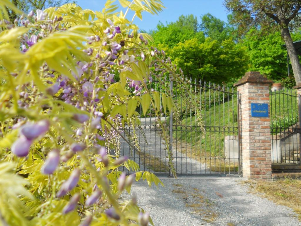 Tenuta Calabiana Diano d'Alba Room photo